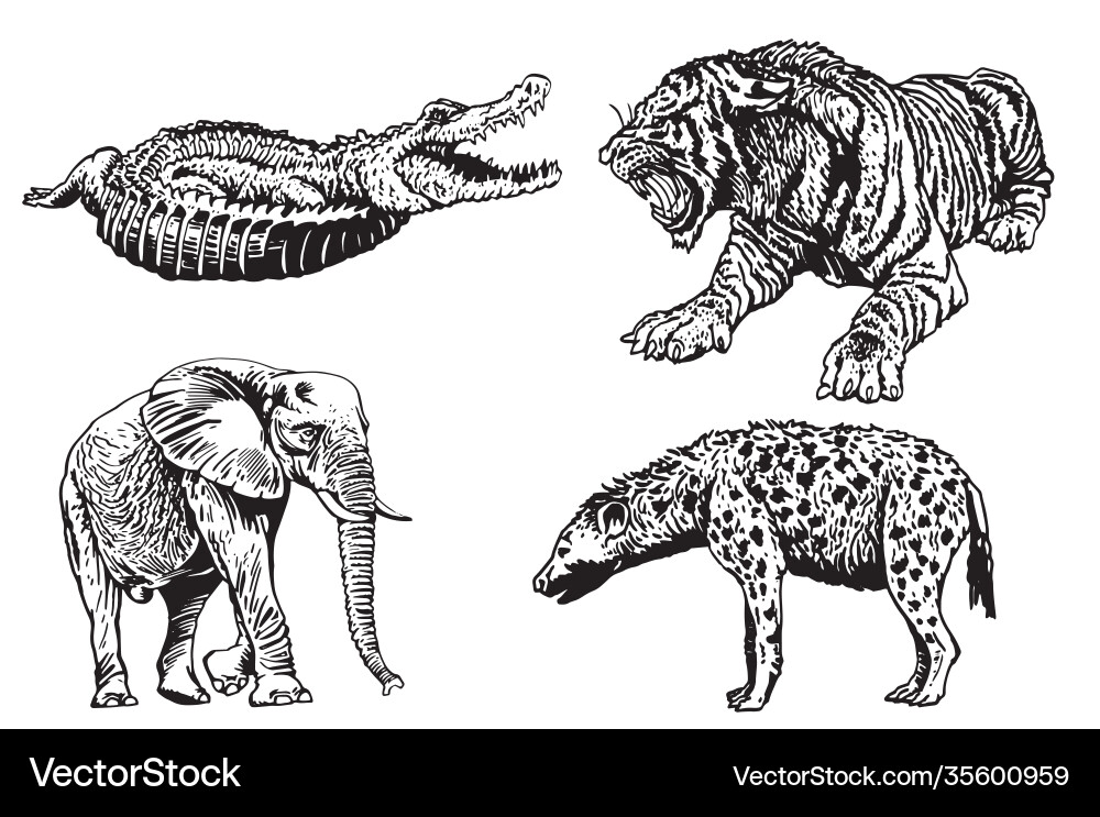 Graphical set african animals isolated on white Graphical set african animals isolated on white vector image