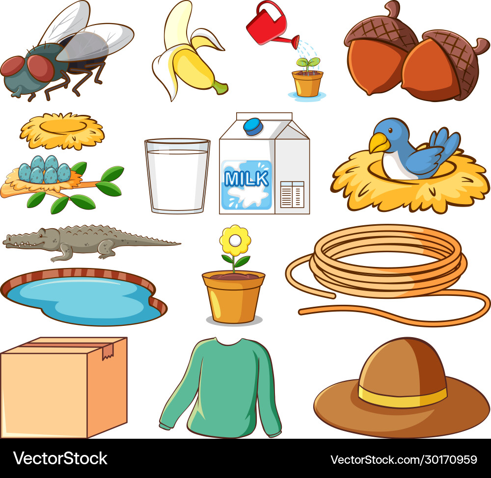 Large set different animals and other objects Large set different animals and other objects Vector Image
