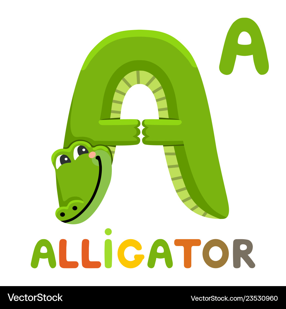 A is for alligator letter animal vector image