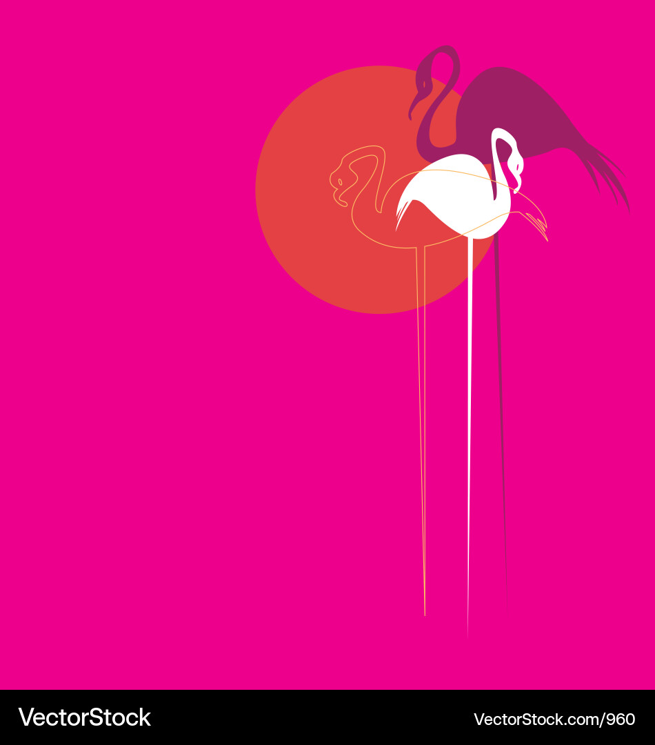 Elegant Asian Birds Vector Image