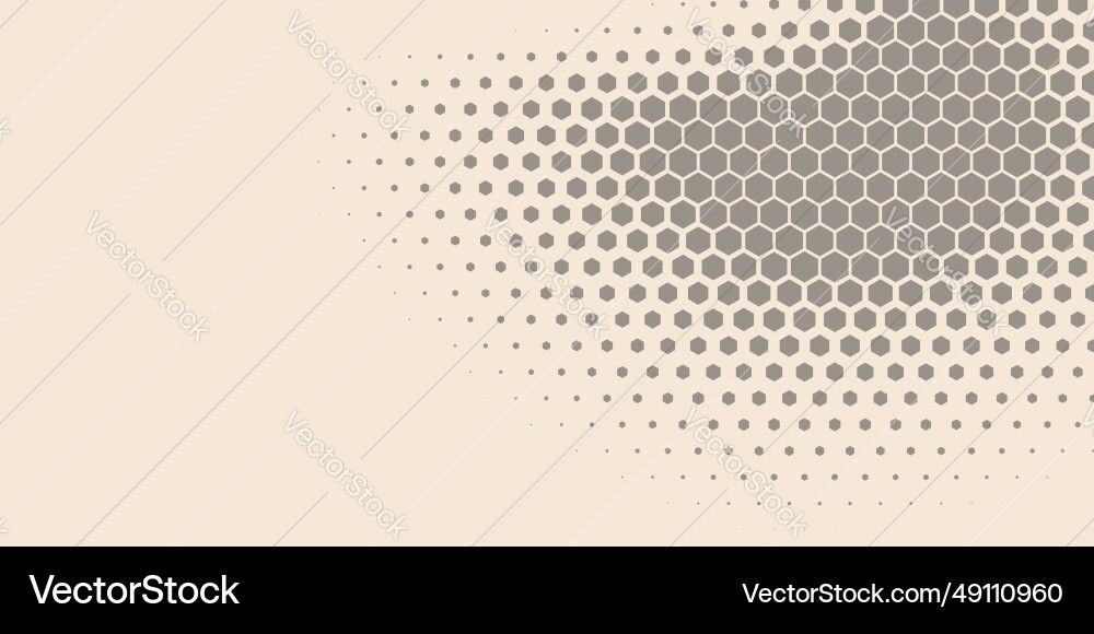 Geometric abstract hexagon two color background Vector Image
