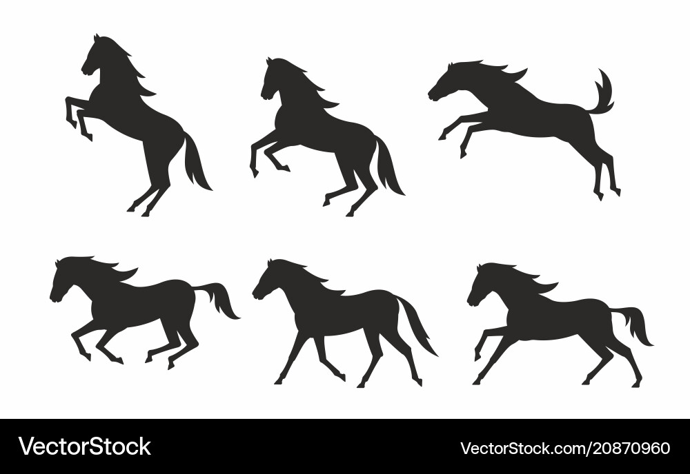 Set of horses silhouettes Set of horses silhouettes vector image