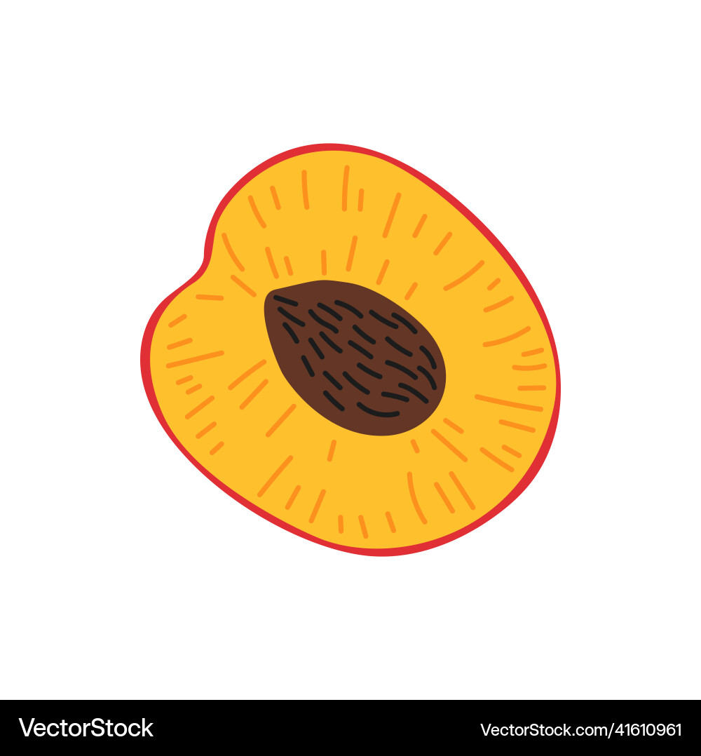 Aprikosen Pfirsich halb geschnitten Cartoon Lebensmittel Dessert Beere Aprikosen Pfirsich halb geschnitten Cartoon Lebensmittel Dessert Beere vektorbild
