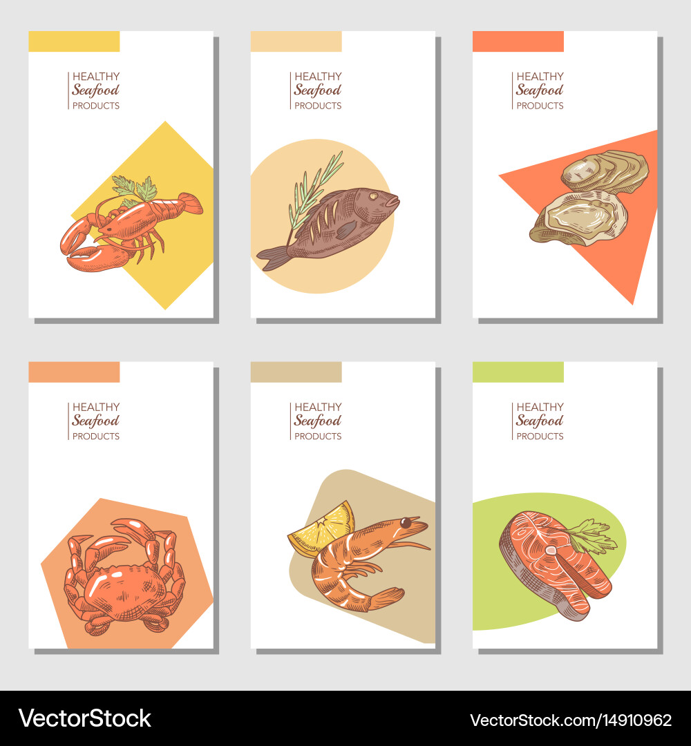 Hand drawn sea food cards brochure design vector image