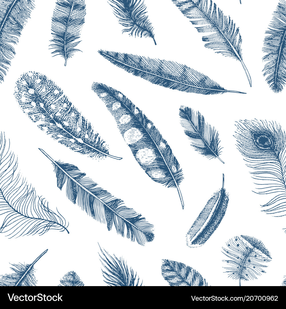 Rustic Feather Pattern vector image