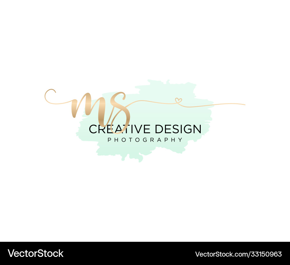 Elegant Initial Logo - Brush Script vector image