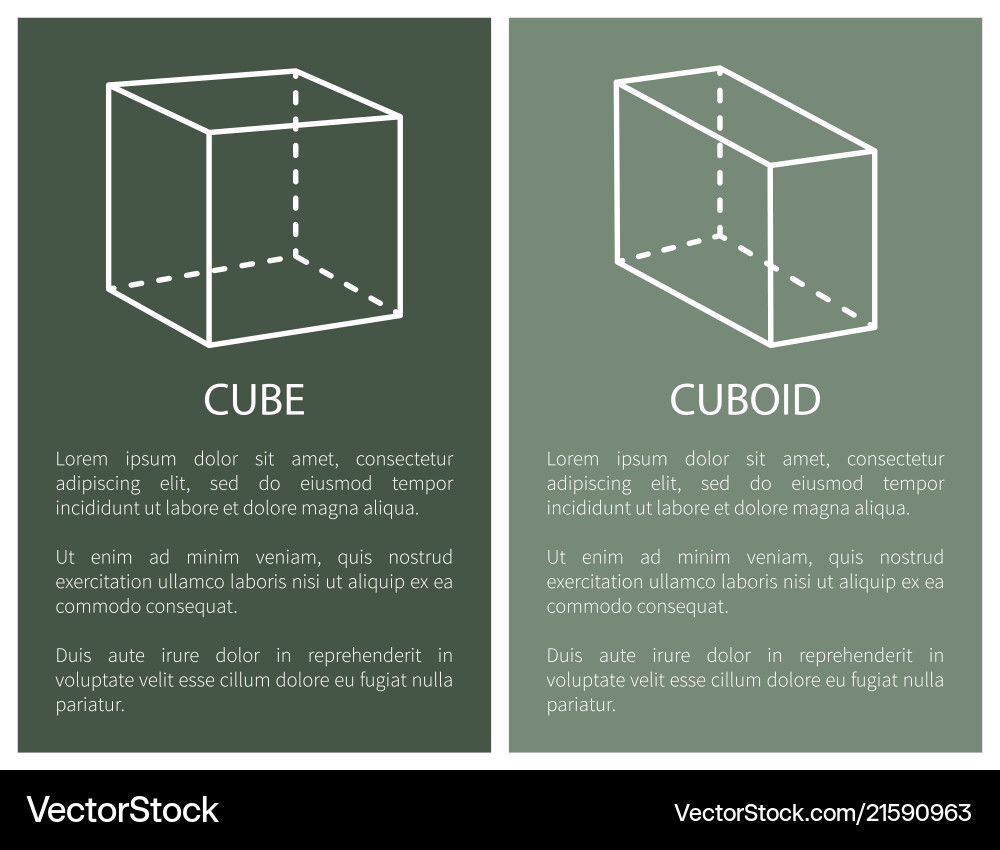 Geometric Cubes and Cuboids - Line Art vector image