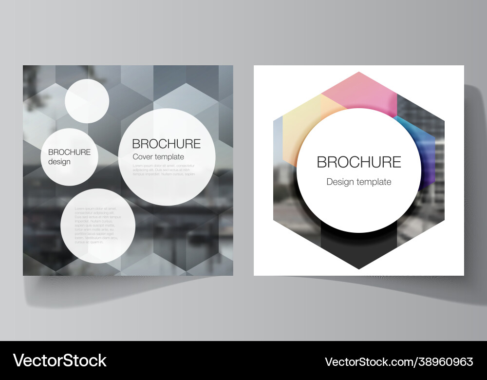 Layout two square format covers design Layout two square format covers design vector image