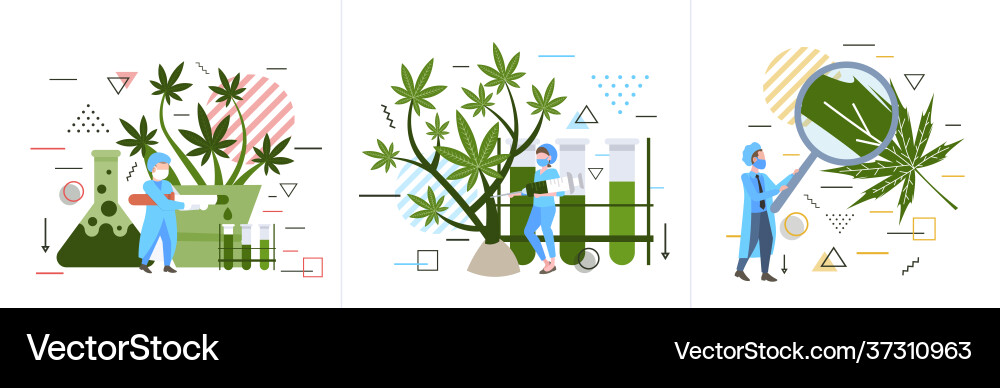 Set researchers checking analyzing examining Vector Image