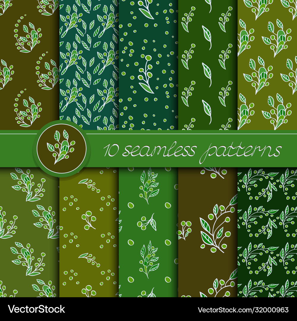 Set seamless patterns with floral elements Set seamless patterns with floral elements vector image