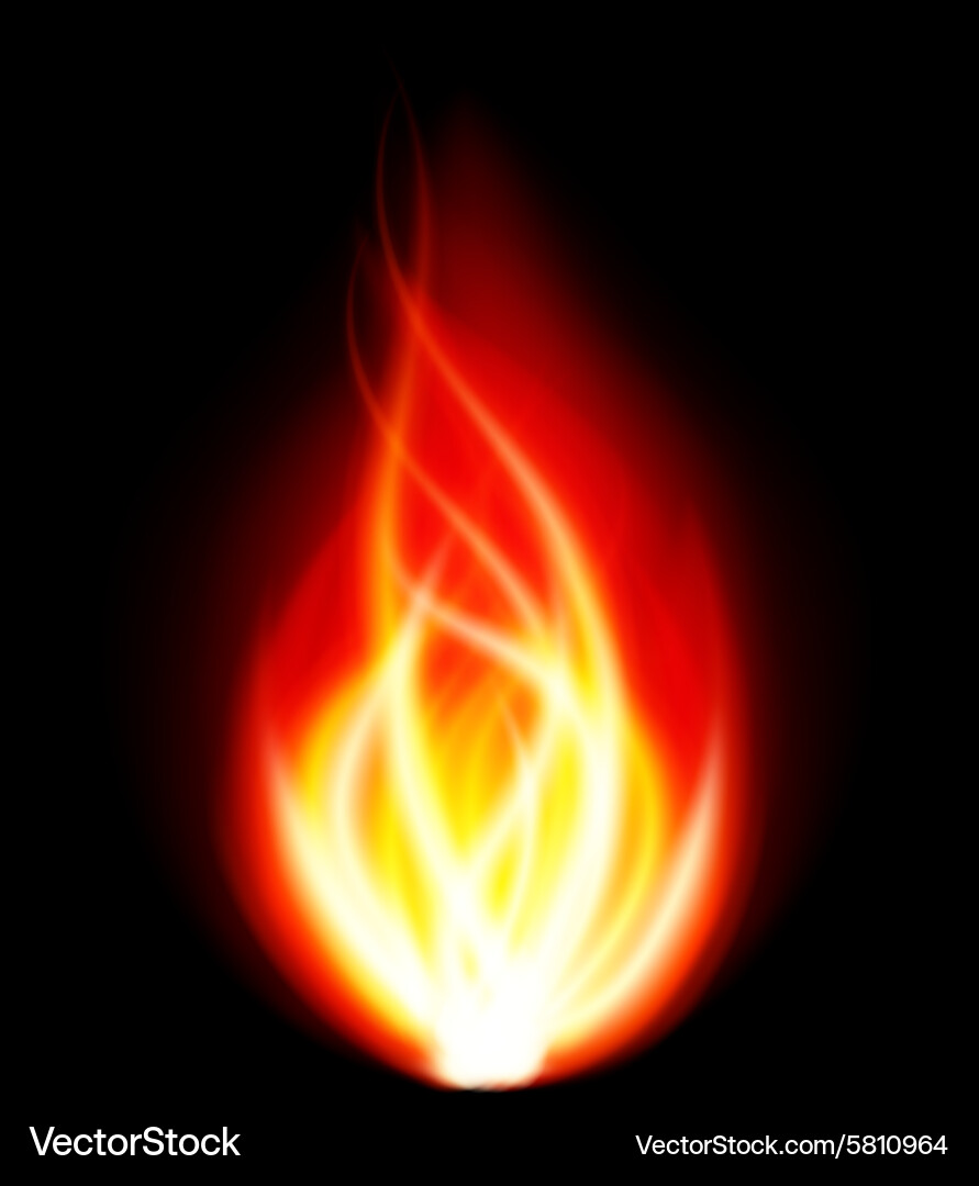 Burn flame fire background Royalty Free Vector Image