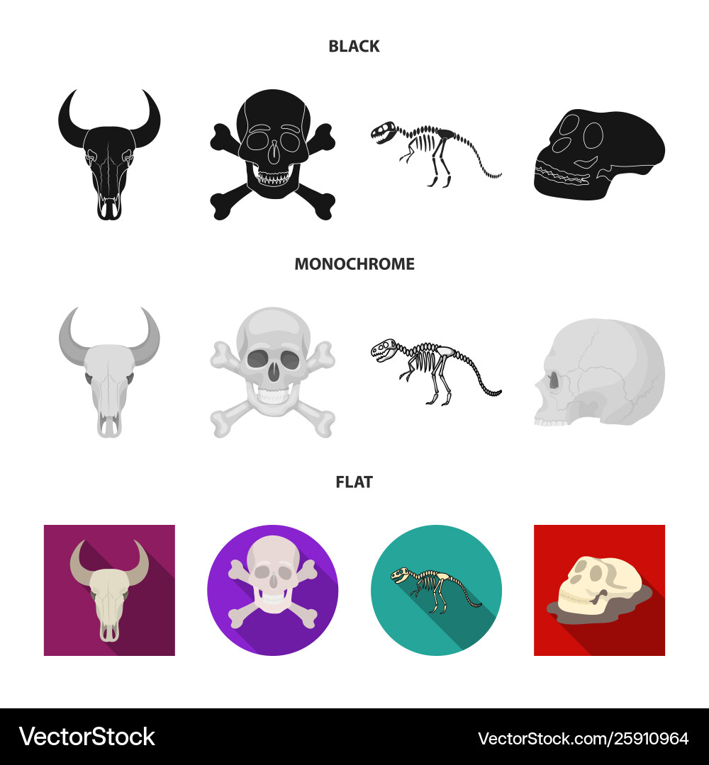 Isolated object skeleton and character symbol Vector Image