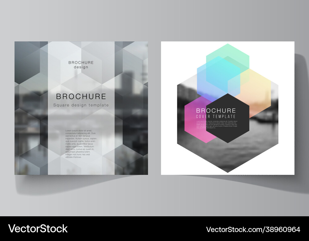 Layout two square format covers design Layout two square format covers design Vector Image