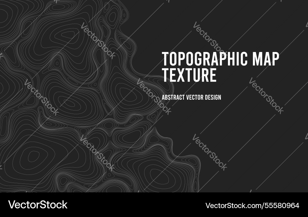 Topographic map background with copy space Topographic map background with copy space vector image