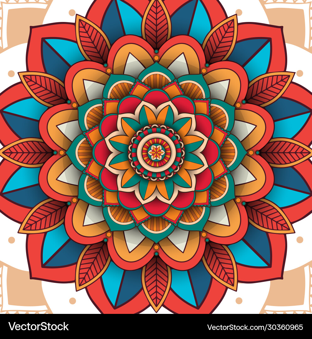 Colorful mandala patterns design vector image