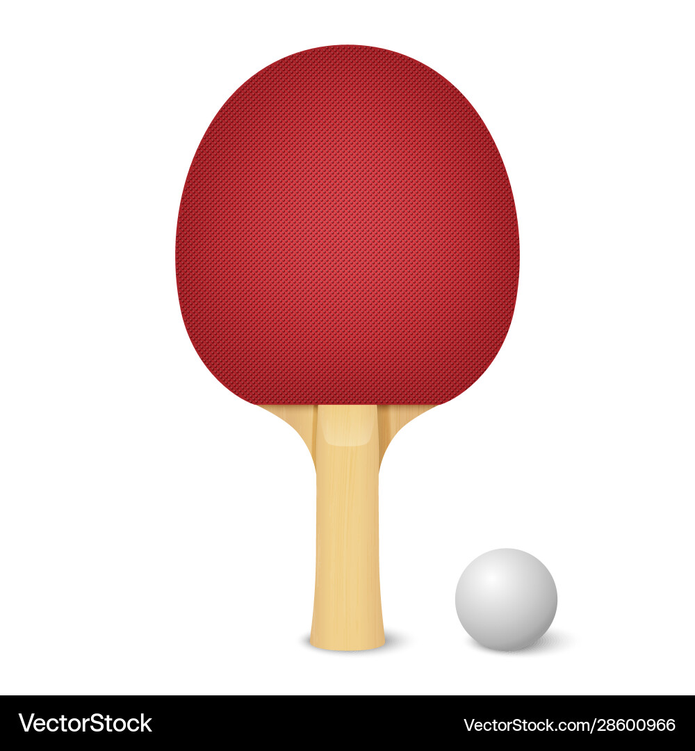 3d realistic red ping pong racket and ball 3d realistic red ping pong racket and ball vector image