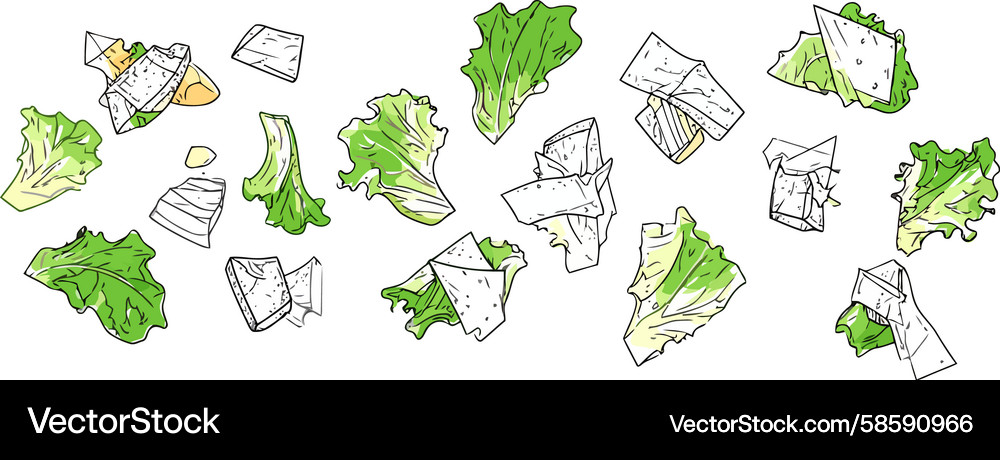Deconstructed Lettuce Salad Sketch Vector Image