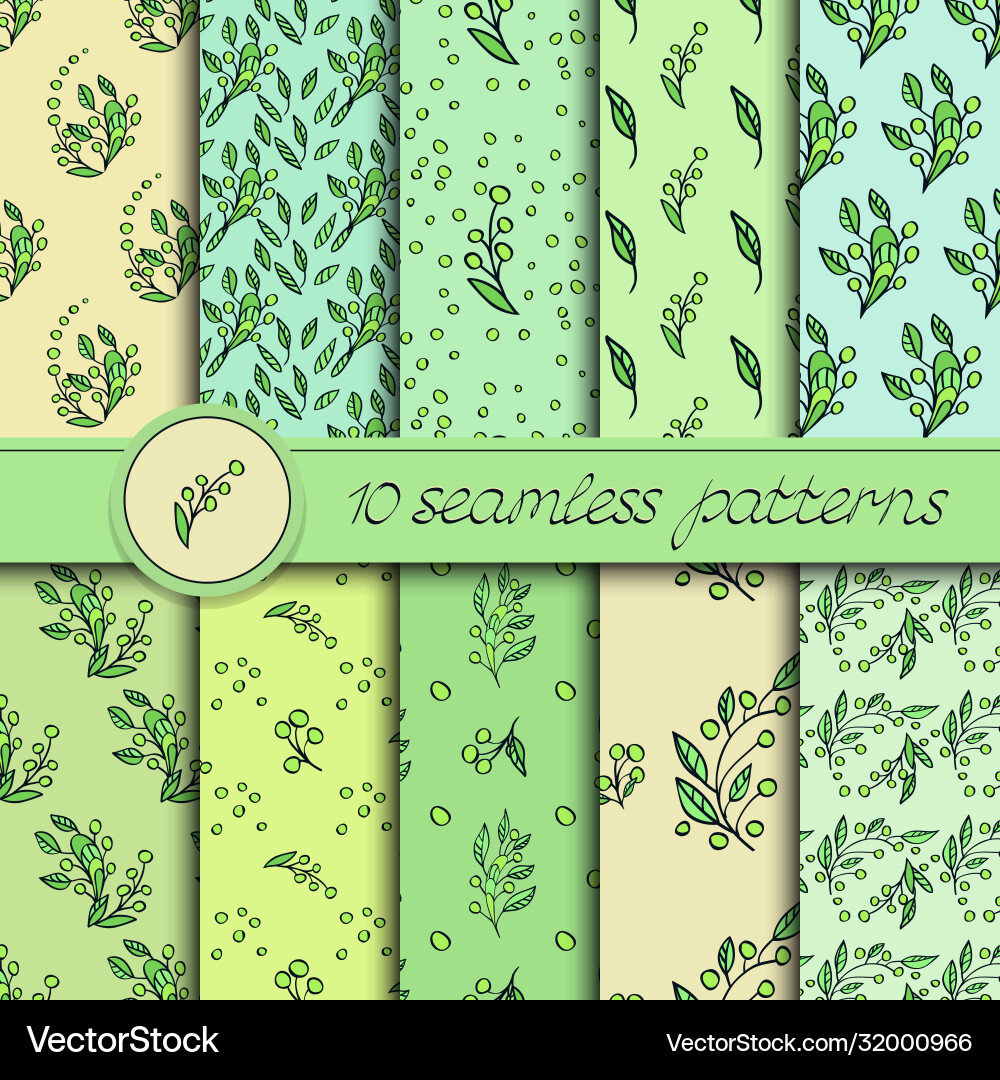 Set seamless patterns with floral elements Vector Image
