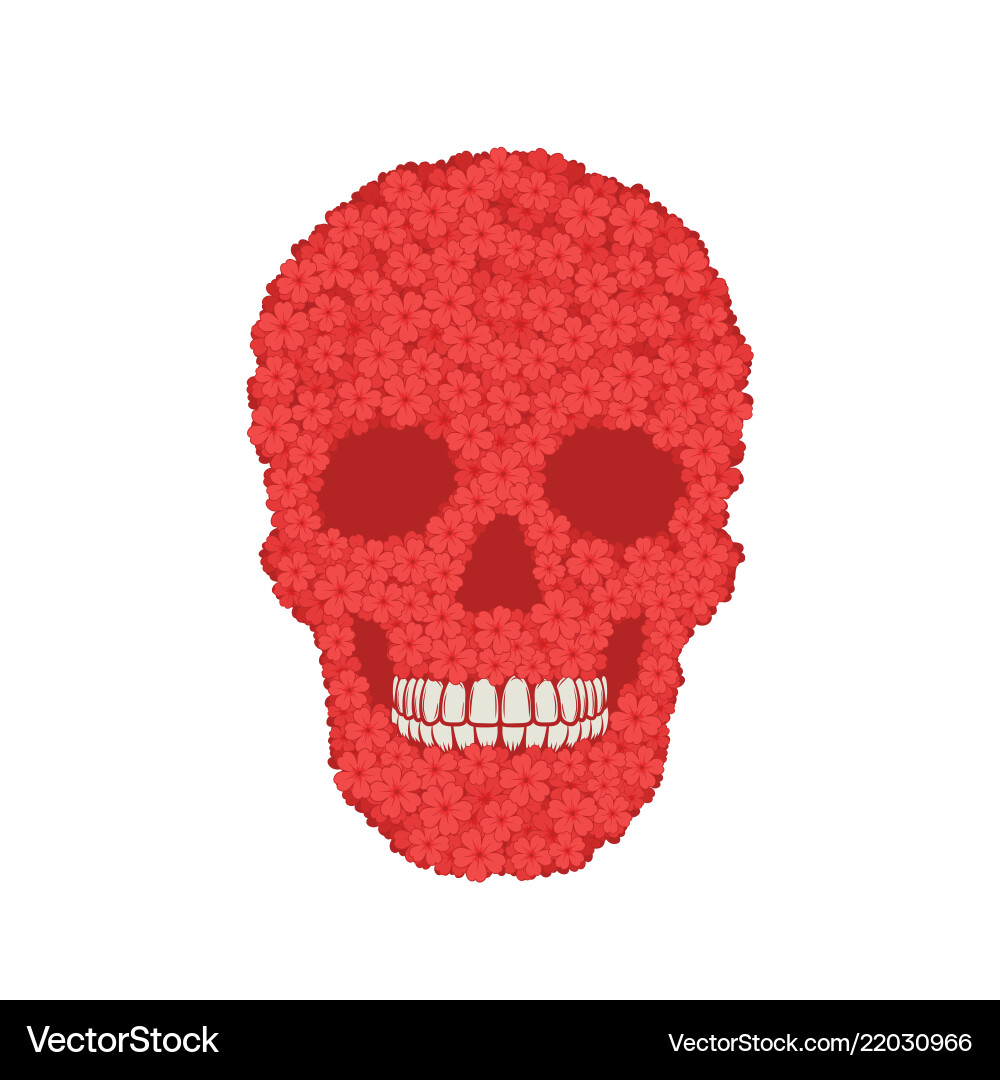 Stylized red verbena skull on white background Vector Image