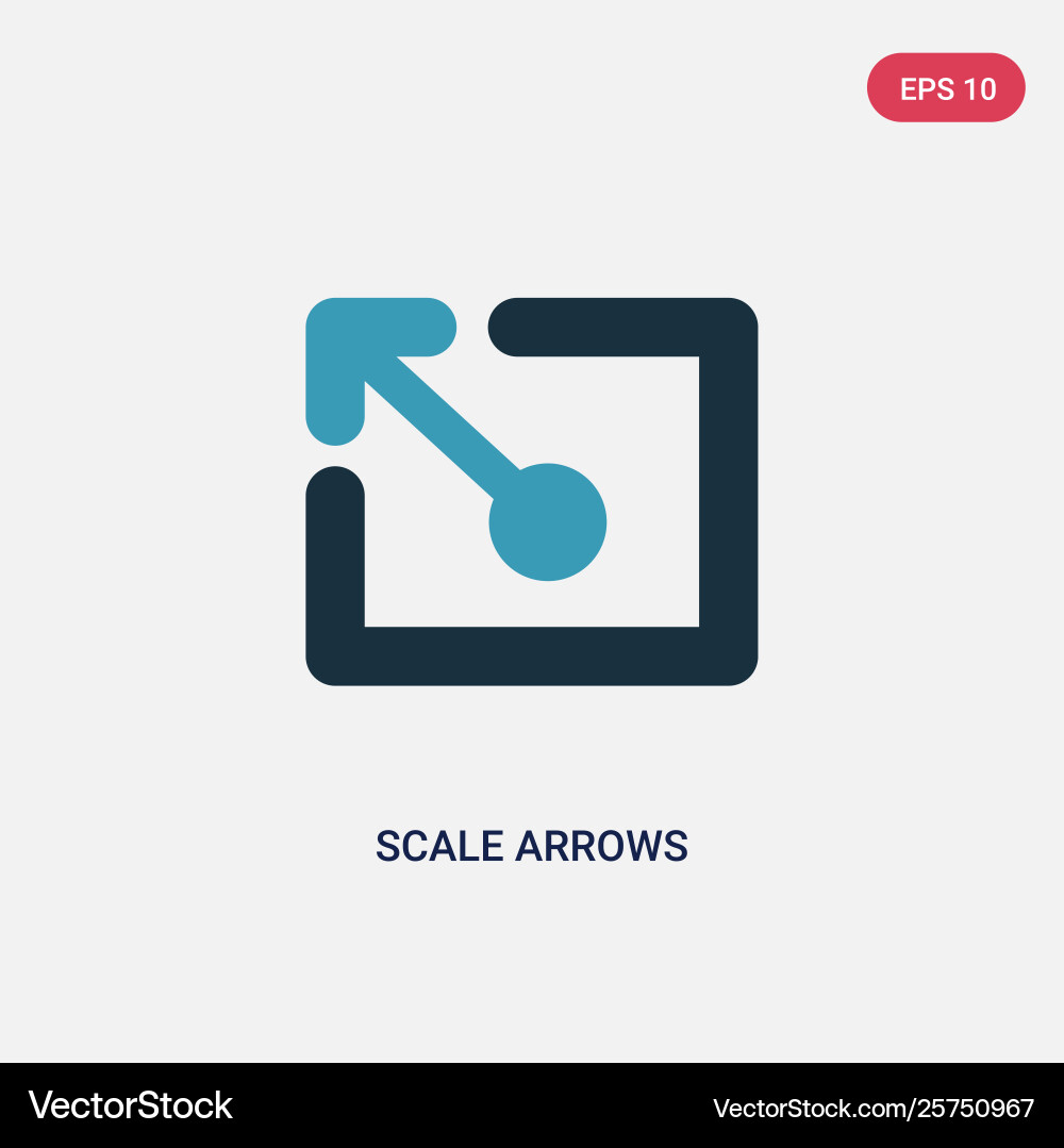 Two Color Scale Arrows - UI Icon vector image
