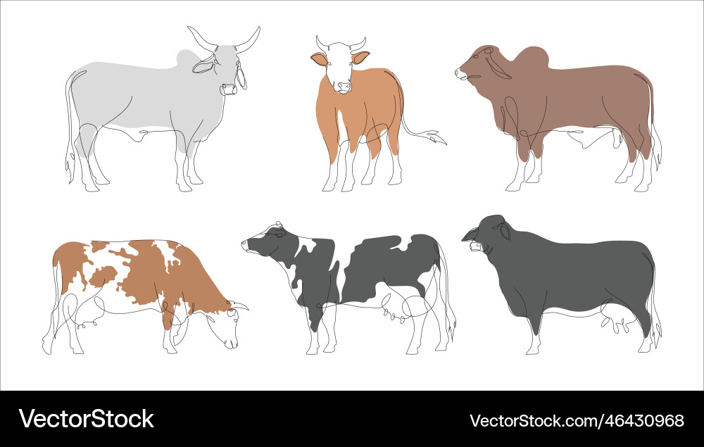 Drawing of a continuous line cattle Drawing of a continuous line cattle vector image