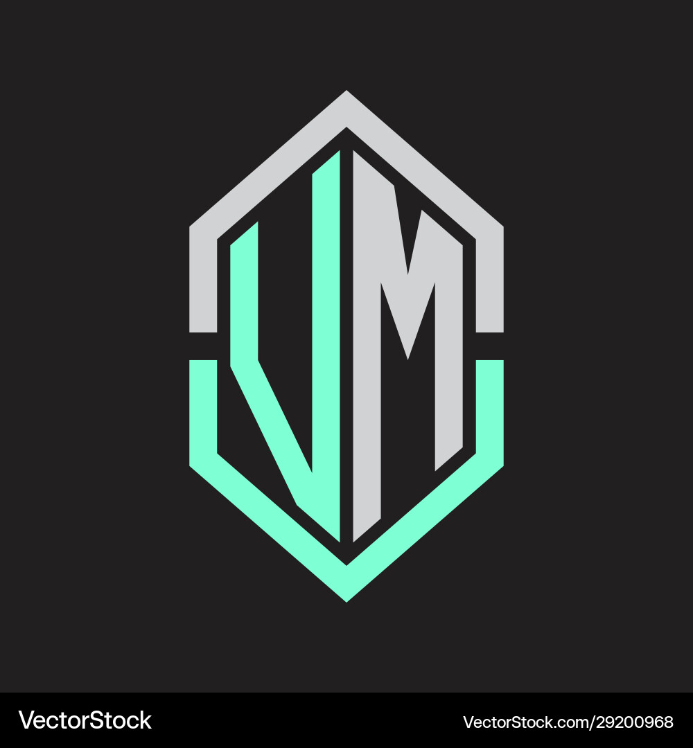 Vm logo monogram with hexagon shape and outline Vector Image