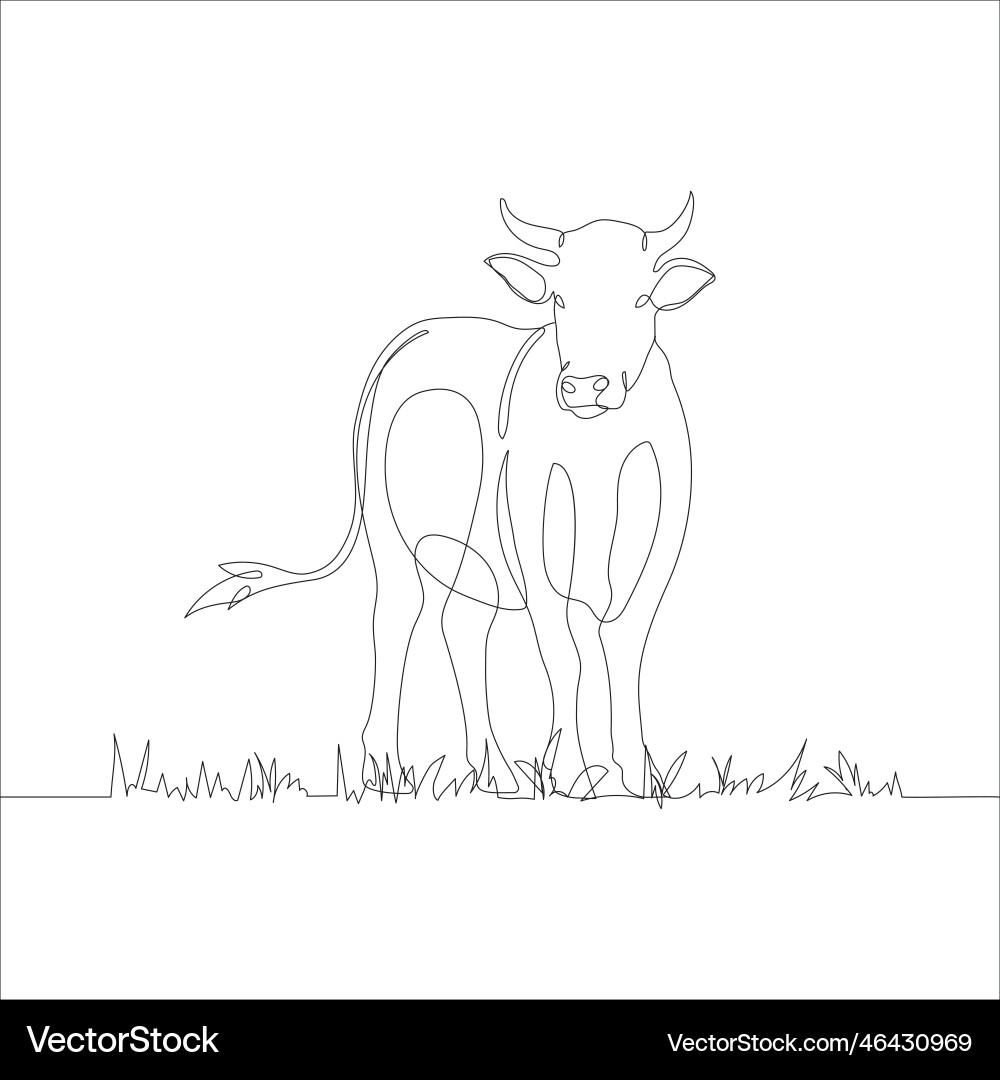Drawing of a continuous line cattle Drawing of a continuous line cattle vector image