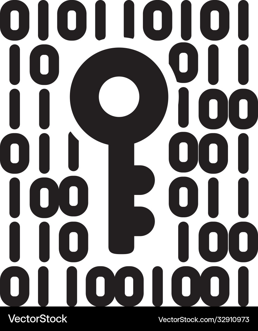 Binary code with key icon silhouette style vector image