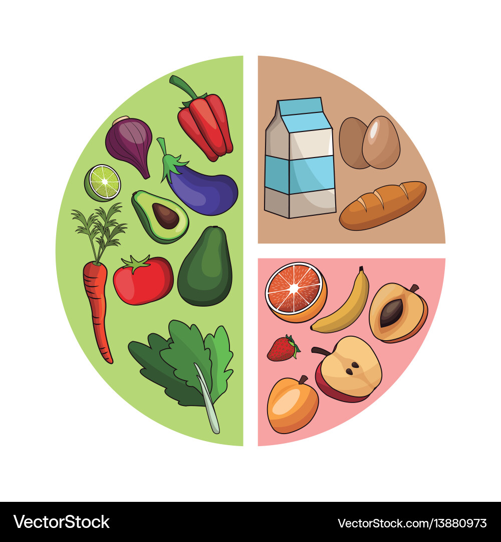 Healthy Food Diagram \u0026 Nutritional Chart – Royalty-Free Vector | VectorStock, image size:1000x1080