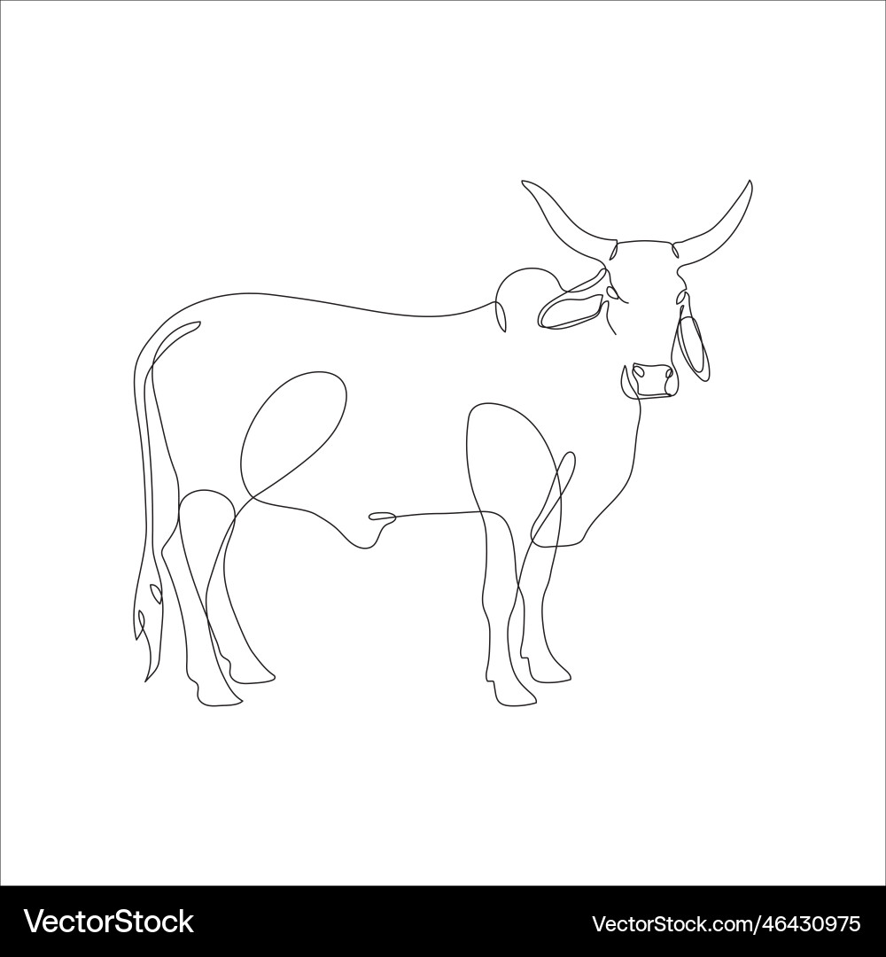 Drawing of a continuous line cattle Drawing of a continuous line cattle vector image