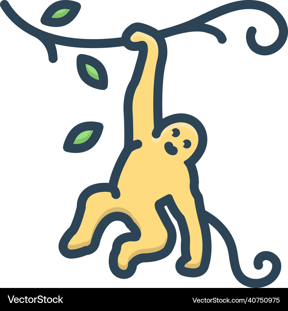 Monkey on tree vector image