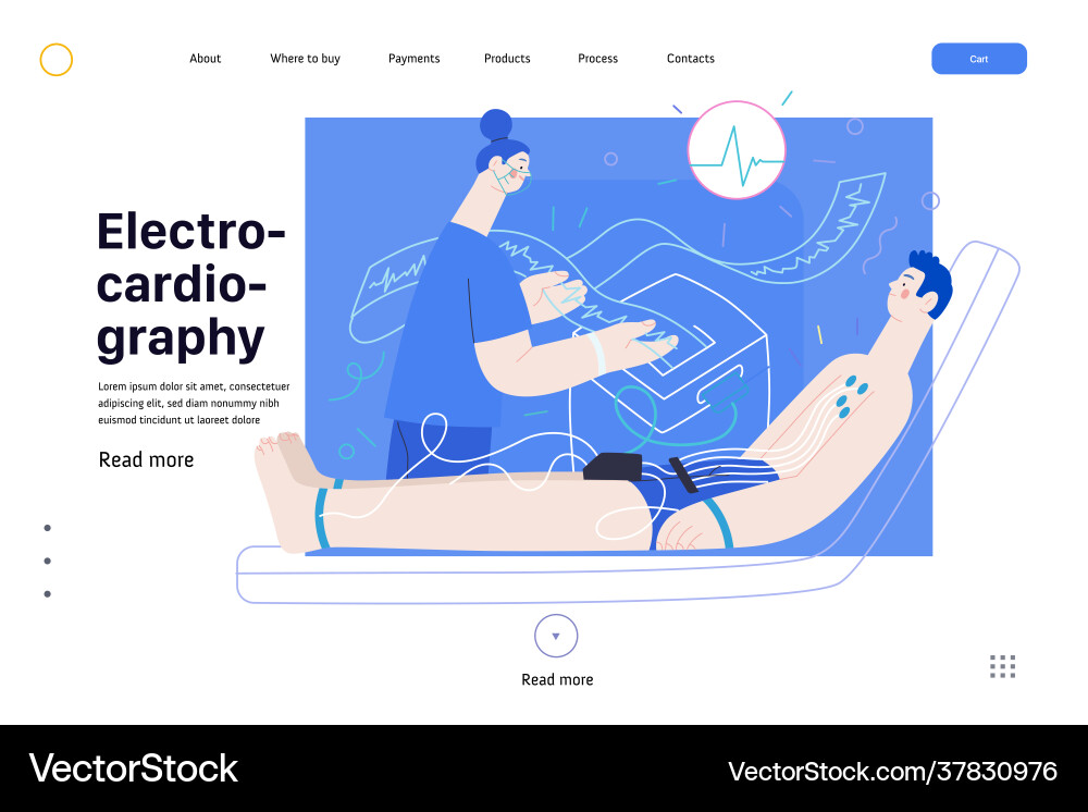 Ecg electrocardiography - medical tests web Ecg electrocardiography - medical tests web vector image