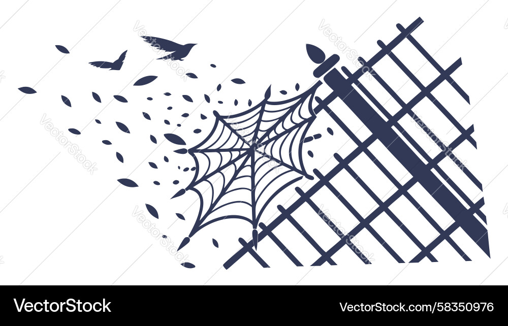 Fragmented Spiderweb with Particles Vector Image