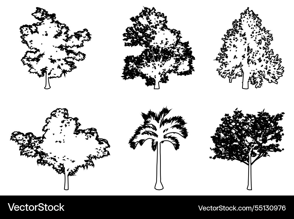 Trees as a black line drawing silhouette Trees as a black line drawing silhouette vector image