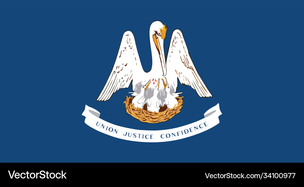 Flag american state louisiana Flag american state louisiana vector image