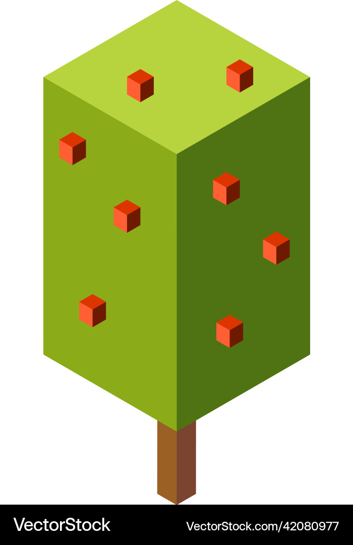 Green isometric tree urban park or garden plant Green isometric tree urban park or garden plant vector image