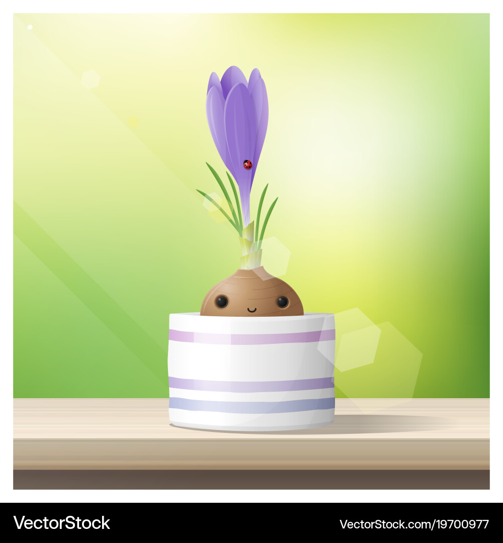 Hello spring background with flower crocus vector image
