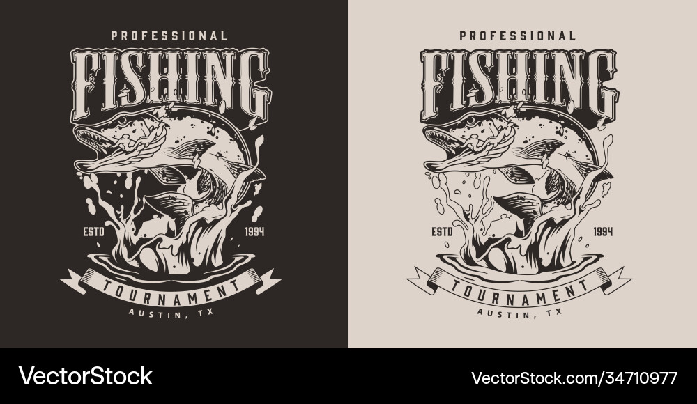 Vintage Fishing Print - Pike Splash vector image