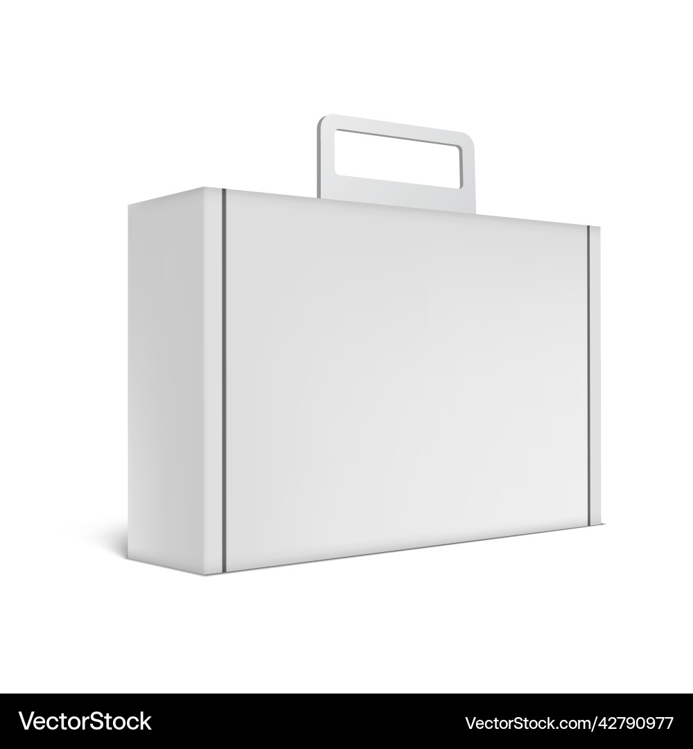 White Cardboard Package Box with Handle vector image