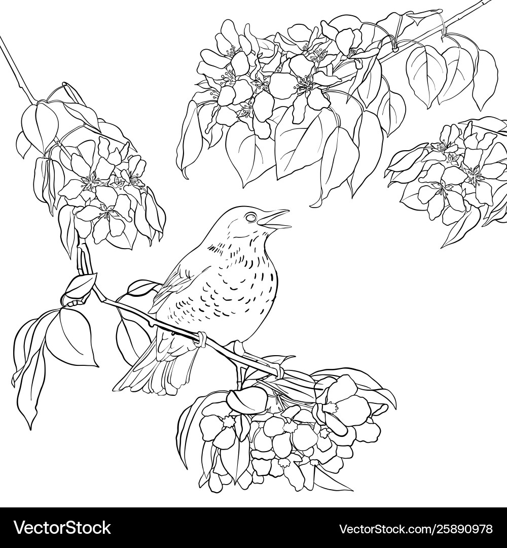 Bird at tree branch Bird at tree branch vector image