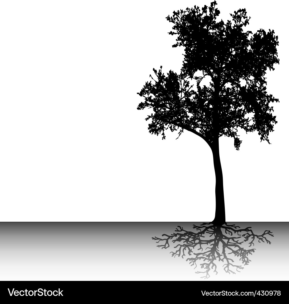 Elegant Tree Silhouette vector image