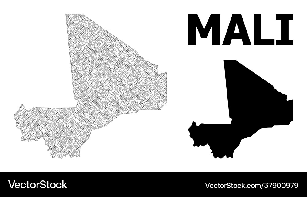 Polygonal network mesh high resolution map Polygonal network mesh high resolution map vector image