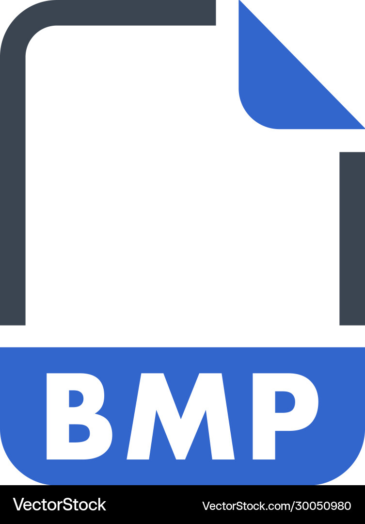 Bmp file format icon Vector Image