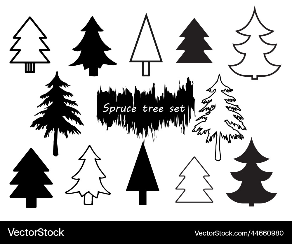 Set of different coniferous trees Set of different coniferous trees vector image