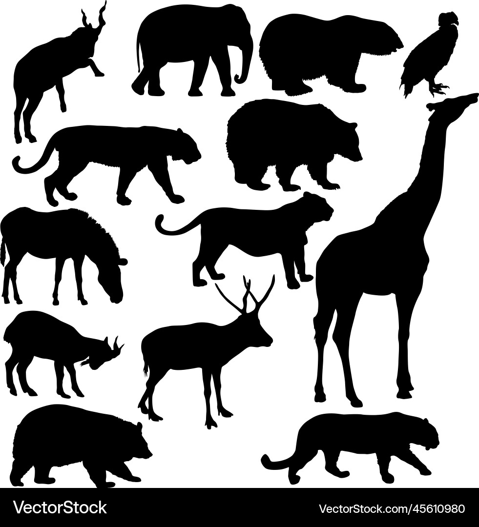 Silhouette Elefant Tiger Bär Giraffe Flamingo Silhouette Elefant Tiger Bär Giraffe Flamingo vektorbild