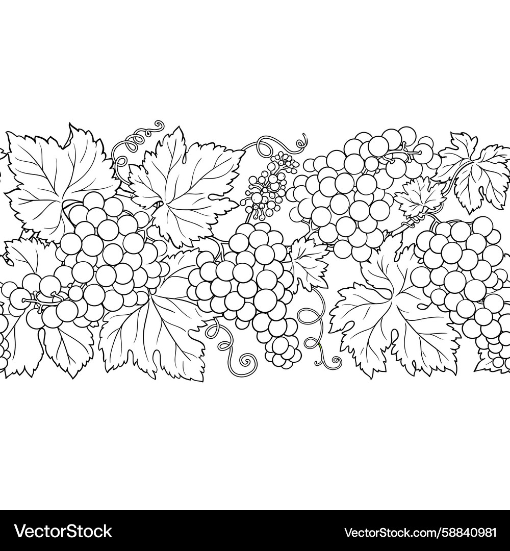 Grapes outline horizontal seamless pattern Grapes outline horizontal seamless pattern Vector Image