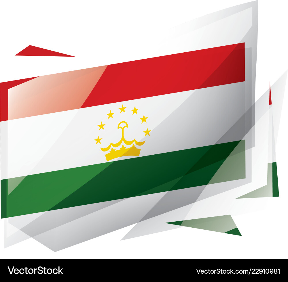 Tajikistan flag on a white Tajikistan flag on a white vector image