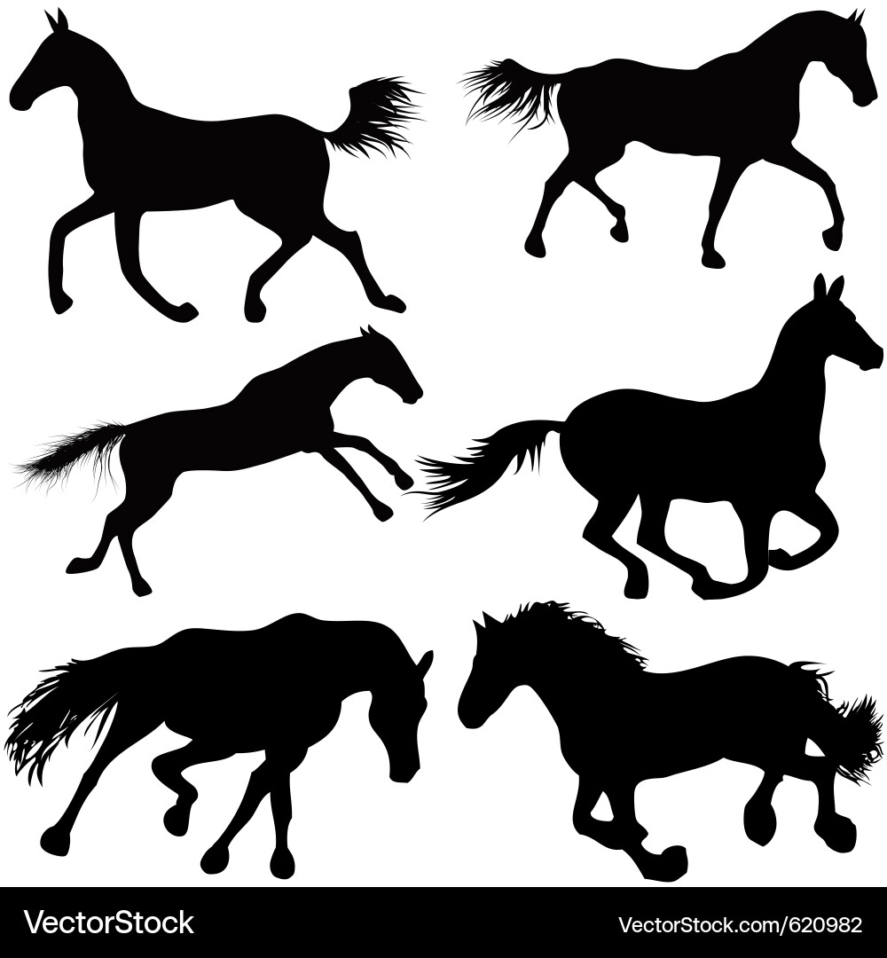 Horse Silhouettes - Dynamic Movement vector image