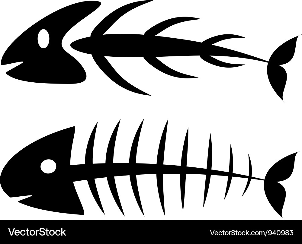 Bone Structure Outline vector image