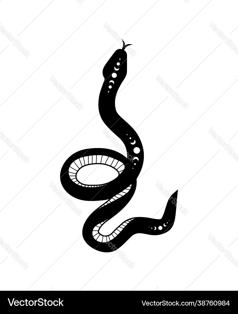 Magic snake in boho style with moon mystical Magic snake in boho style with moon mystical Vector Image